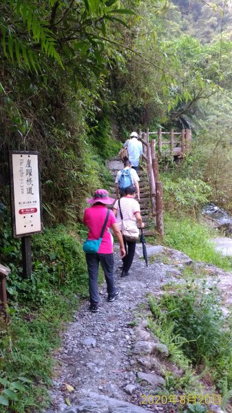 1090820九寮溪自然步道戈霸瀑布1082905