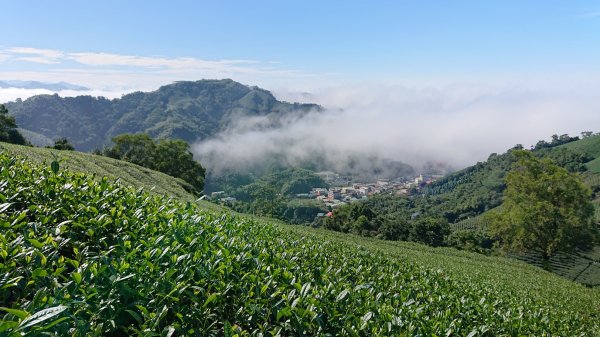 20201108雲嘉五連峰1625511