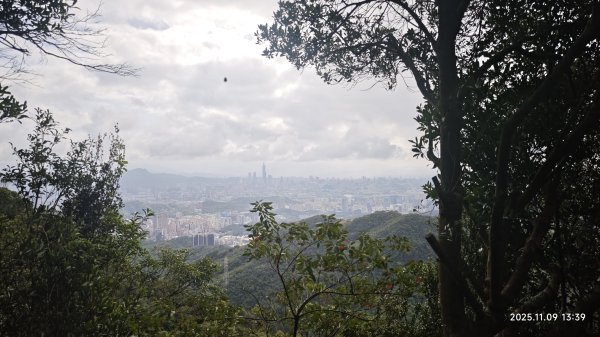 20251109 士林站到大湖站(福山宮_腰繞_燕溪古道_翠山步道_龍船岩_大溝溪)2932366