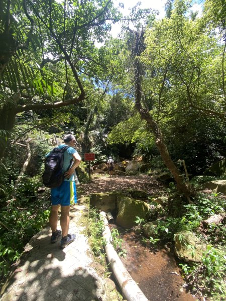 《陽明山秘境健行｜翠峰瀑布 × 天母古道 夏日涼爽路線》2852213