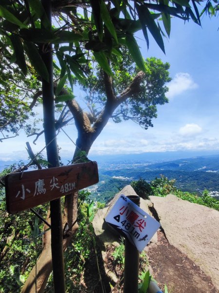 觀音山小鷹尖2818049