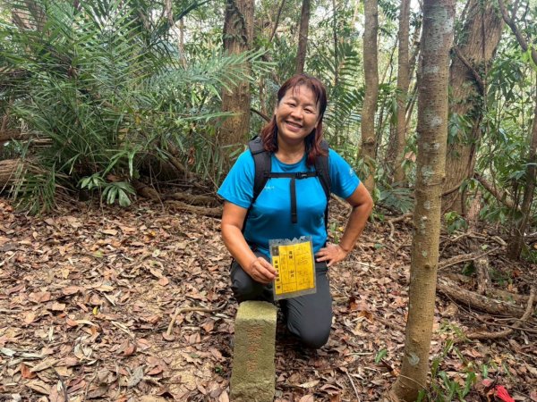苗栗出磺坑古道、銅纙坑菊