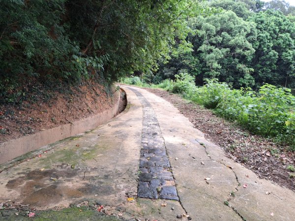 2026森遊竹縣：寶山迴龍步道，環湖步道3107253
