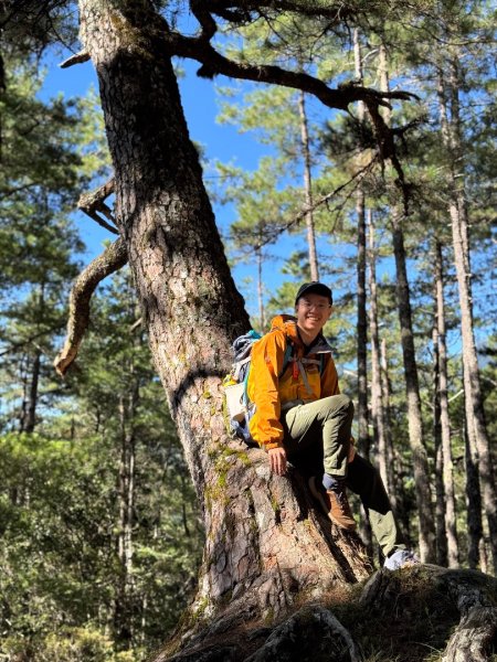 一日單攻桃山2903268