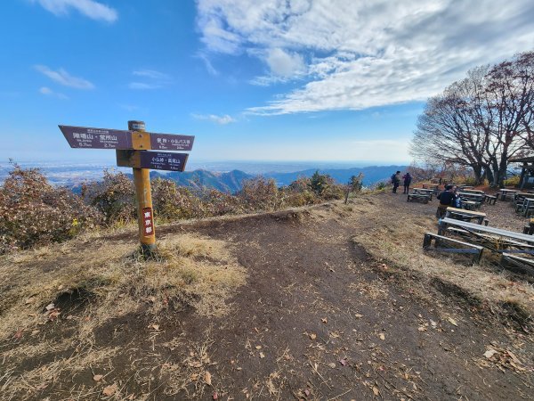 20251127陣馬山至高尾山2959087