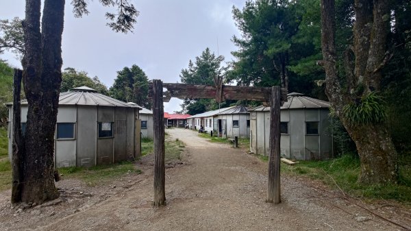 大霸群峰登山步道(大鹿林道線)2911401