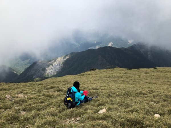 合歡山五座百岳賞杜鵑花587123