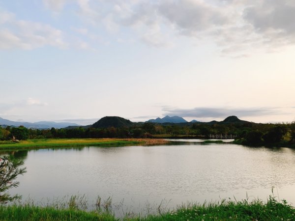 台東森林公園552364