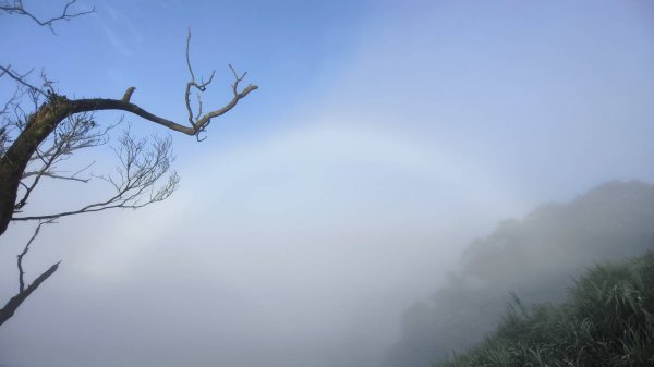 南山寺星空雲海/晨曦日出雲海&開眼崙山嵐/差強人意霧虹觀音圈2260983