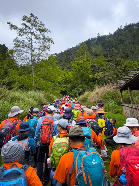 2025-05-17 羅葉尾溪秘境2792404