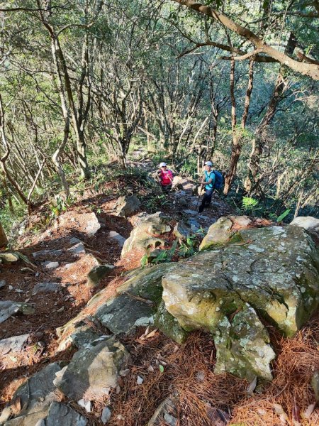 谷關馬崙山2642584