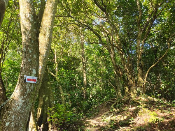 四寮溪生態步道2882186