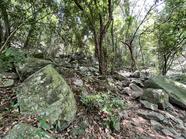 【谷關七雄之坡真陡】波津加山1771662