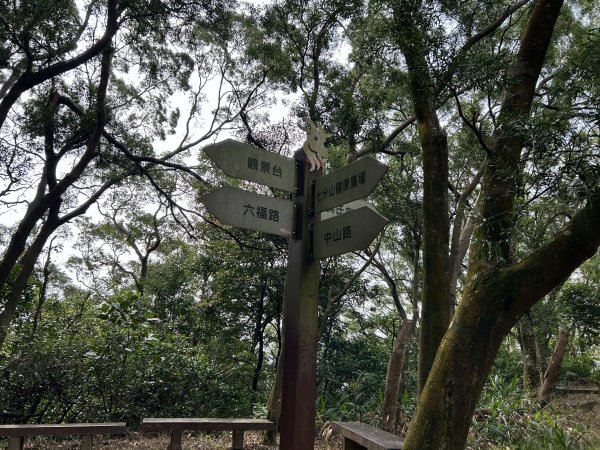 羊稠森林步道3020901