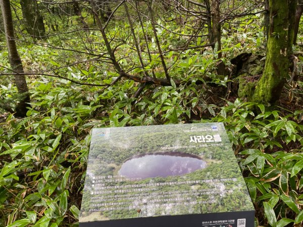 1140811 KR 漢拏山杜鵑花田避難所-紗羅岳觀景臺2860168