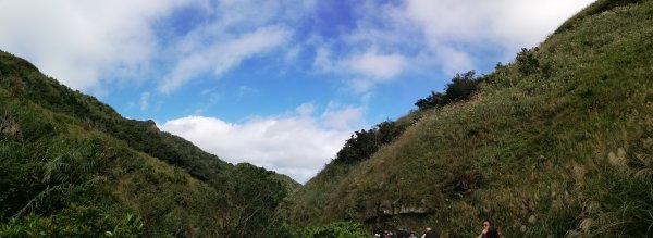 ~  古道秋芒 - 草嶺古道  ~741013