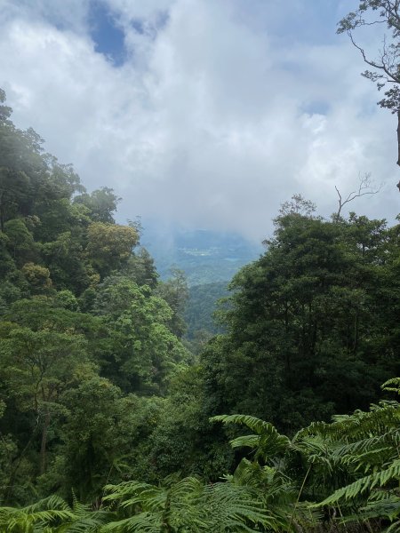 1120703水社大山步道2643011