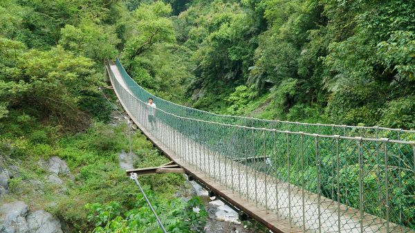 羅木斯溪登山步道113471