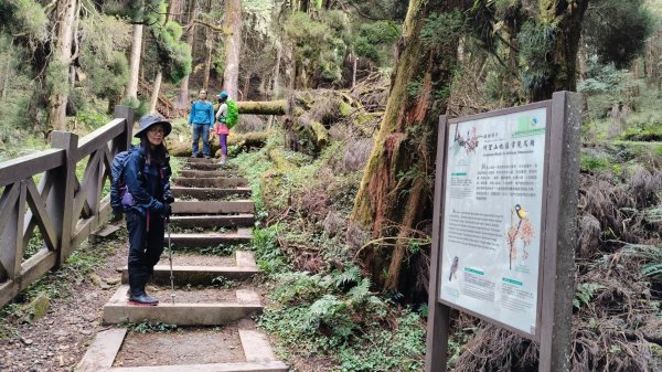 神阿縱走~台灣難抵極~大塔山2971471