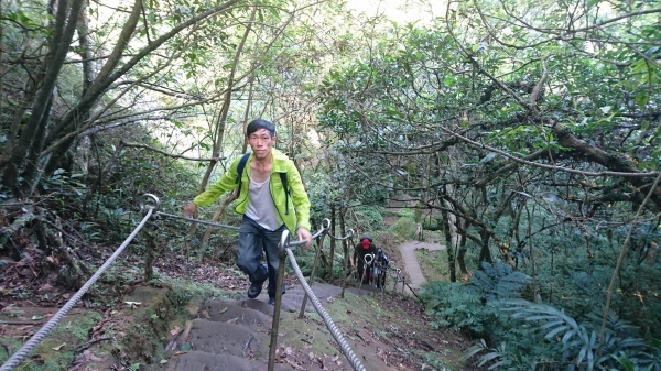 孝子山 ．慈母峰．普陀山．中央尖52567