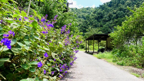 九寮溪自然步道2826874