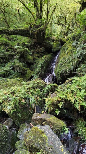 棲松縱走未竟2918397