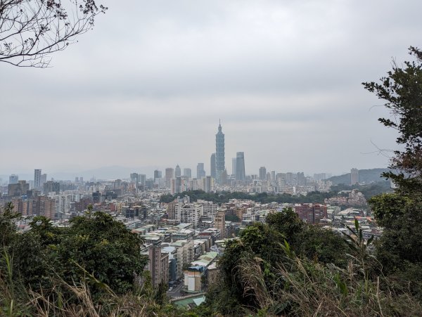 2024-01-28 福州山公園2793294