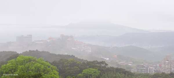 陽明山追雲趣 #天空之城 #石門嵩山梯田 #鳶尾花 #老梅綠石槽 4/5-63030200