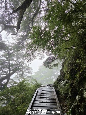 【南投信義】排雲山莊 x#15百岳_玉山西峰3111630