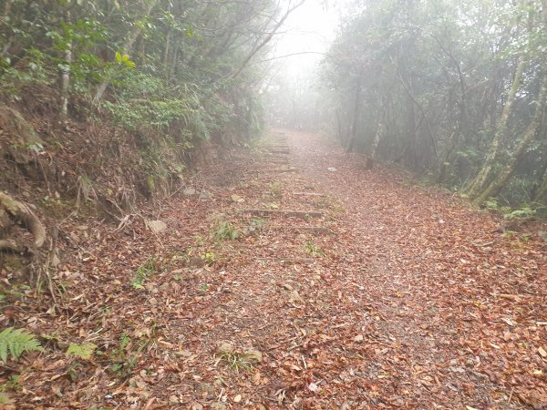 李崠山馬望僧侶山O型+烏來山1583421