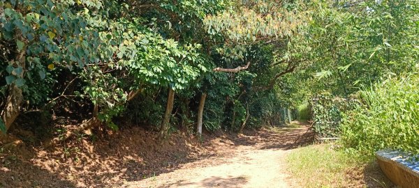 神壽任務尋寶趣-五酒桶山、山鼻山步道1801607