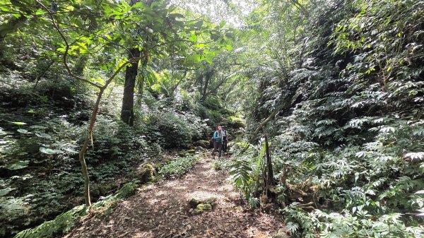 新北近郊小而美的賞景好路線野柳駱駝峰玉田古道O型2897890