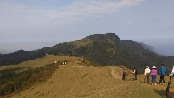 2019 3/2 草嶺古道 桃源谷853684