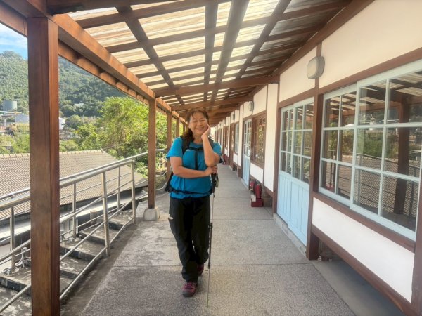 苗栗出磺坑古道、銅纙坑菊2951576