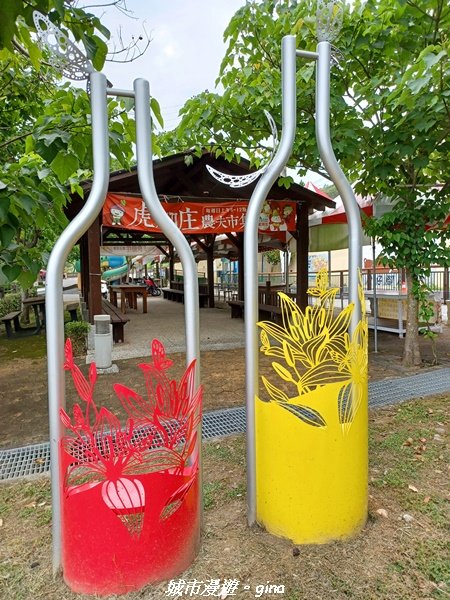 【台中外埔】沿著水圳散散步。 外埔水流東桐花步道1731448