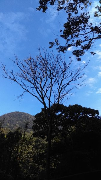 【臺北親山拓印趣】天母古道、中山北路853854