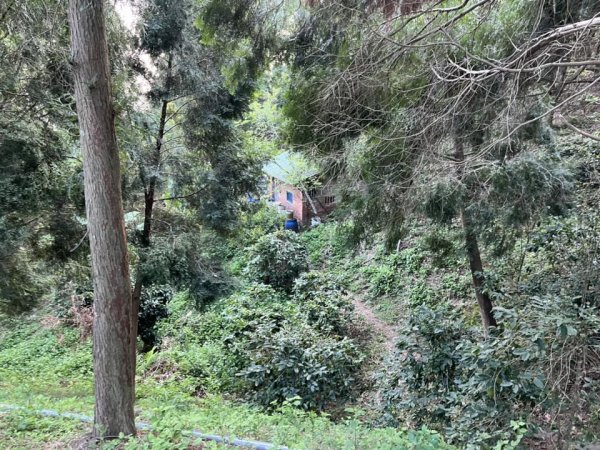 大坑9-1號步道2732250