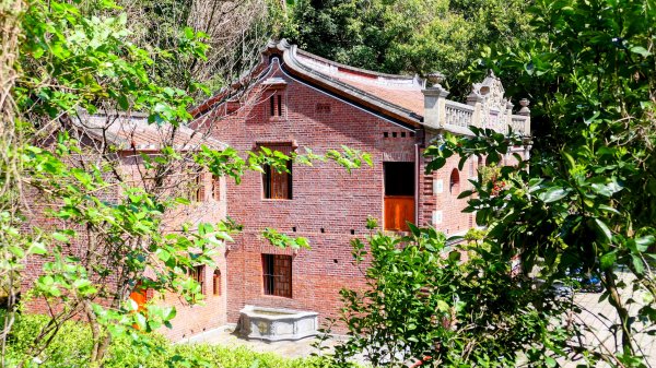 《蝶戀花。酸藤一生》2723349