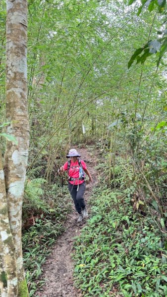 烏窟子山、獵貍尖山、黃櫸皮寮山、翡翠之眼O走2809879