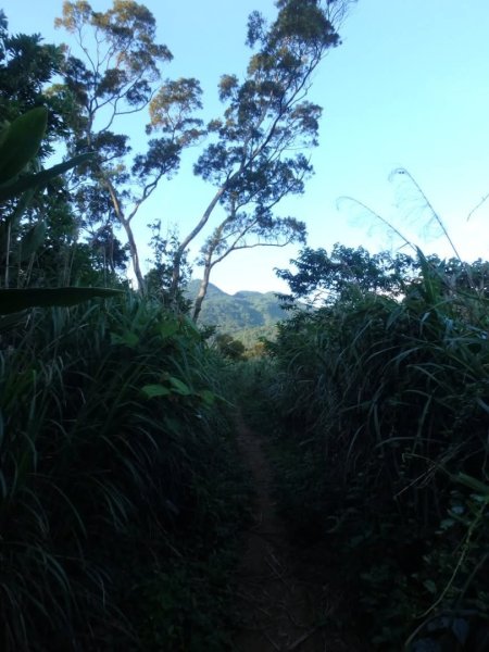 1070602小坪頂山3100131