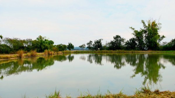 田寮月世界2954571