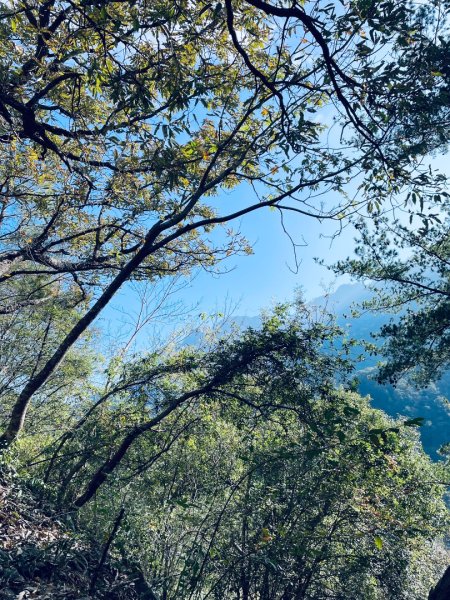 20241230 台中谷關捎來步道2739174