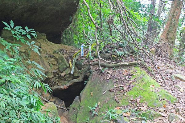 關西石牛山右中去左回357129