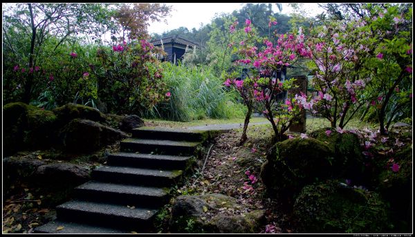 一坑古道、山腰古道、耳空龜山364835