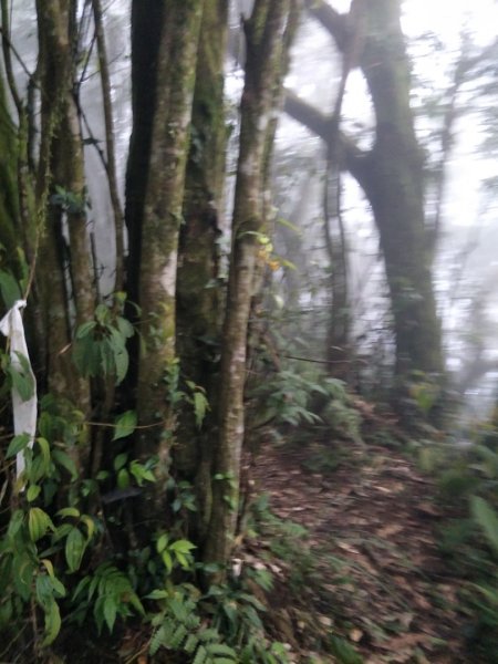 小百岳:初音山1609930