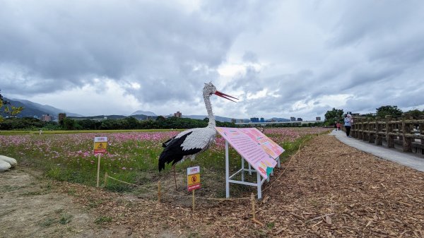 關渡花海,大龍峒孔廟,保安宮,迪化街2345351