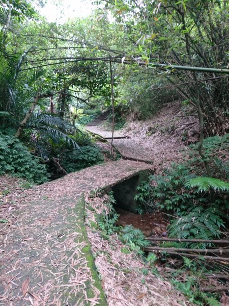 海洋大學龍崗步道－槓子寮山578382