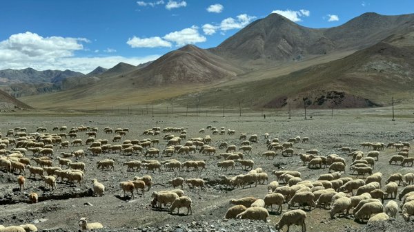 西藏的高山聖湖💙一措再措2907609