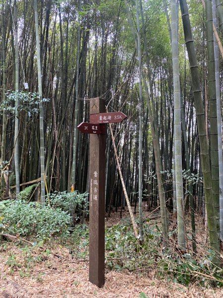 1120329奮瑞古道2643522