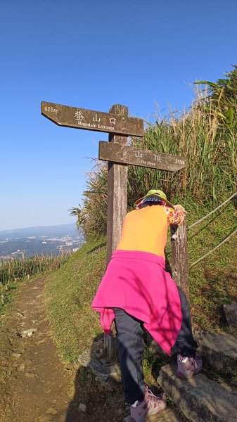 基隆山-小百岳任務2103338